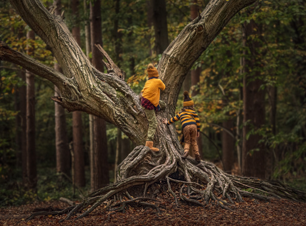 children climbing a tree outdoor photo session