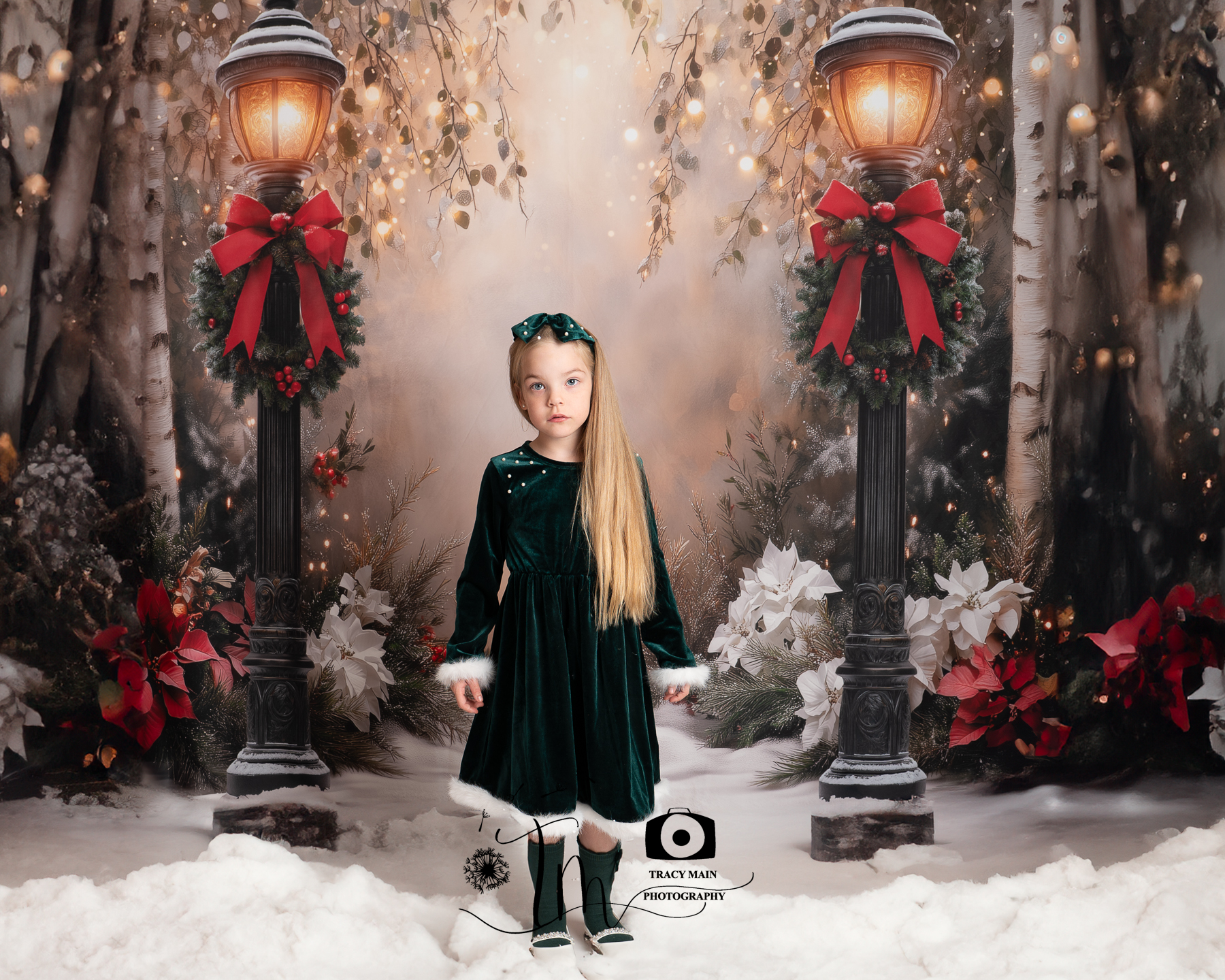 TMP_5356-Edit A little blonde girl in a green dress with white fur trim is standing in the snow by two lamp posts. Christmas photo shoot picture